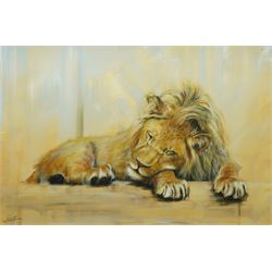 Rayford Holroyd (York 1978-): Sleeping Lion, oil on canvas signed 50cm x 75cm