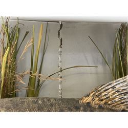 Taxidermy: Brown trout (Salmo trutta), preserved by John Cooper & Sons, 28 Radnor Street, St Luke's, London, skin mount set above a pebbled river bed with reeds and grasses, set against blue painted back drop, inscription to the back drop 'Trout caught by Rev R.S. Ricketts at Kirkham Bridge July 1st 1890, artificial fly, weight 1.5lb', L50cm H26cm 