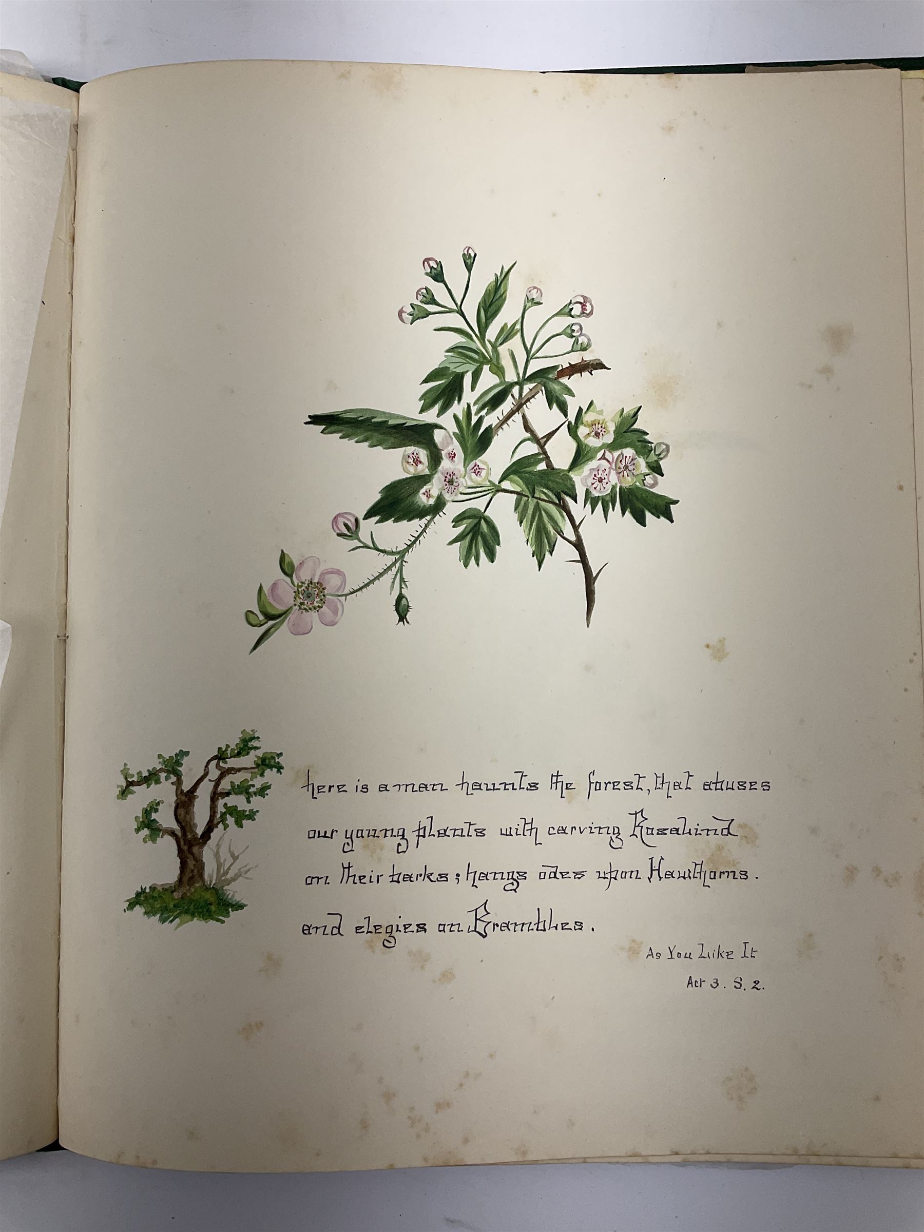 Collection  of 'the Flowers of Sheakspeare' bound in a book, approximately twenty nine studies in watercolour, each work detailing the act the flower is mentioned, together with the tapestry book by Candee. 