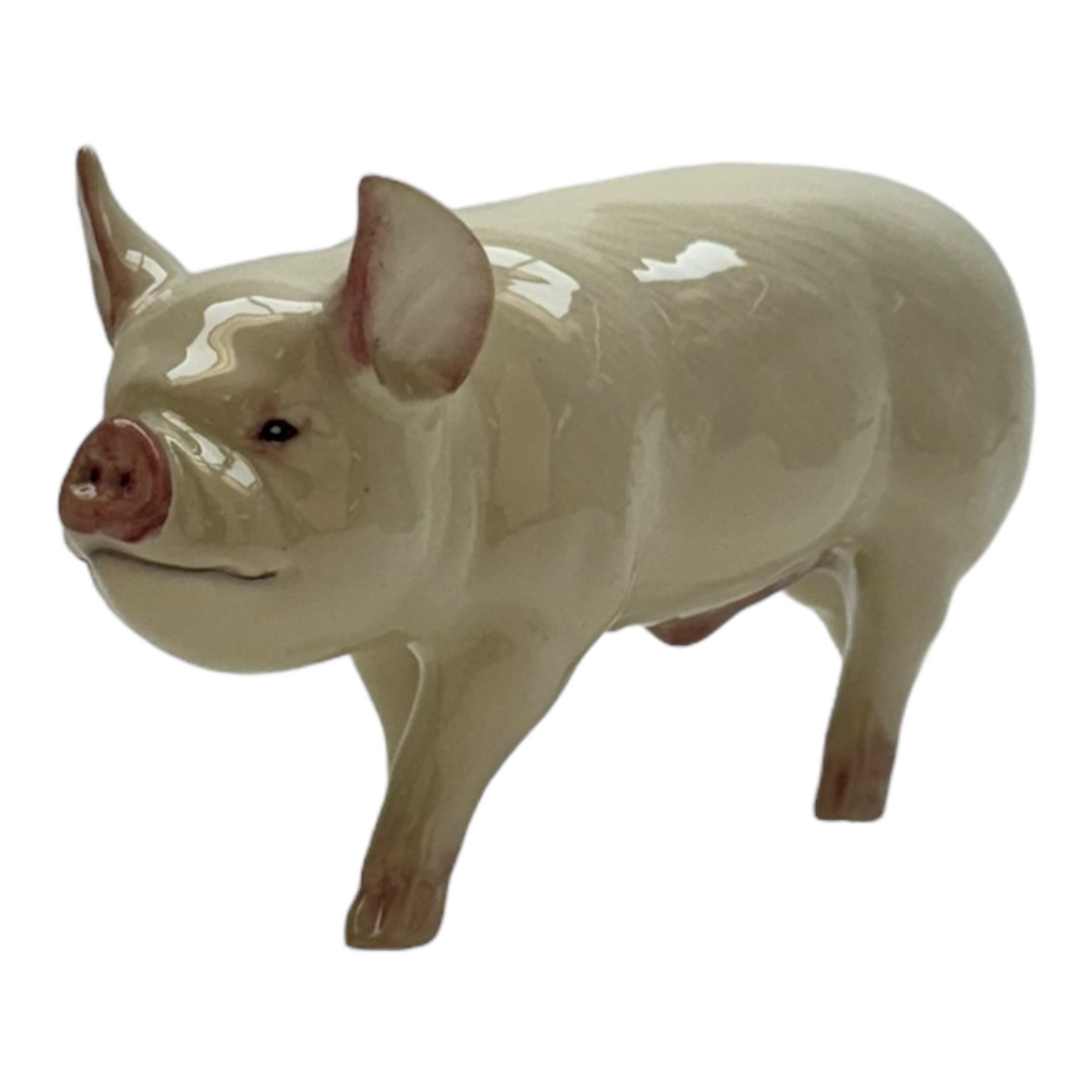 Five Beswick pigs, comprising two CH Wall Queens, Middlewhite Boar, Glocester Old Spot, and Tamworth, together with a Royal Doulton Vietnamese Pot Bellied pig, (6)