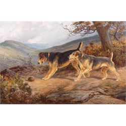 EC England (British 19th century) Two Dogs and a Hedgehog, oil on canvas signed 39cm x 60cm