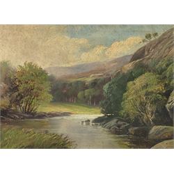 Walter Linsley Meegan (British c1860-1944): Waterfall and River Landscapes, pair oils on canvas signed 25cm x 36cm (unframed) (2)
