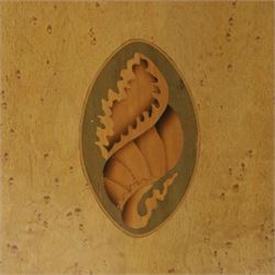 Edwardian inlaid birds-eye maple corner cabinet, urn finials above shell motif inlays, reeded column's hanging hooks