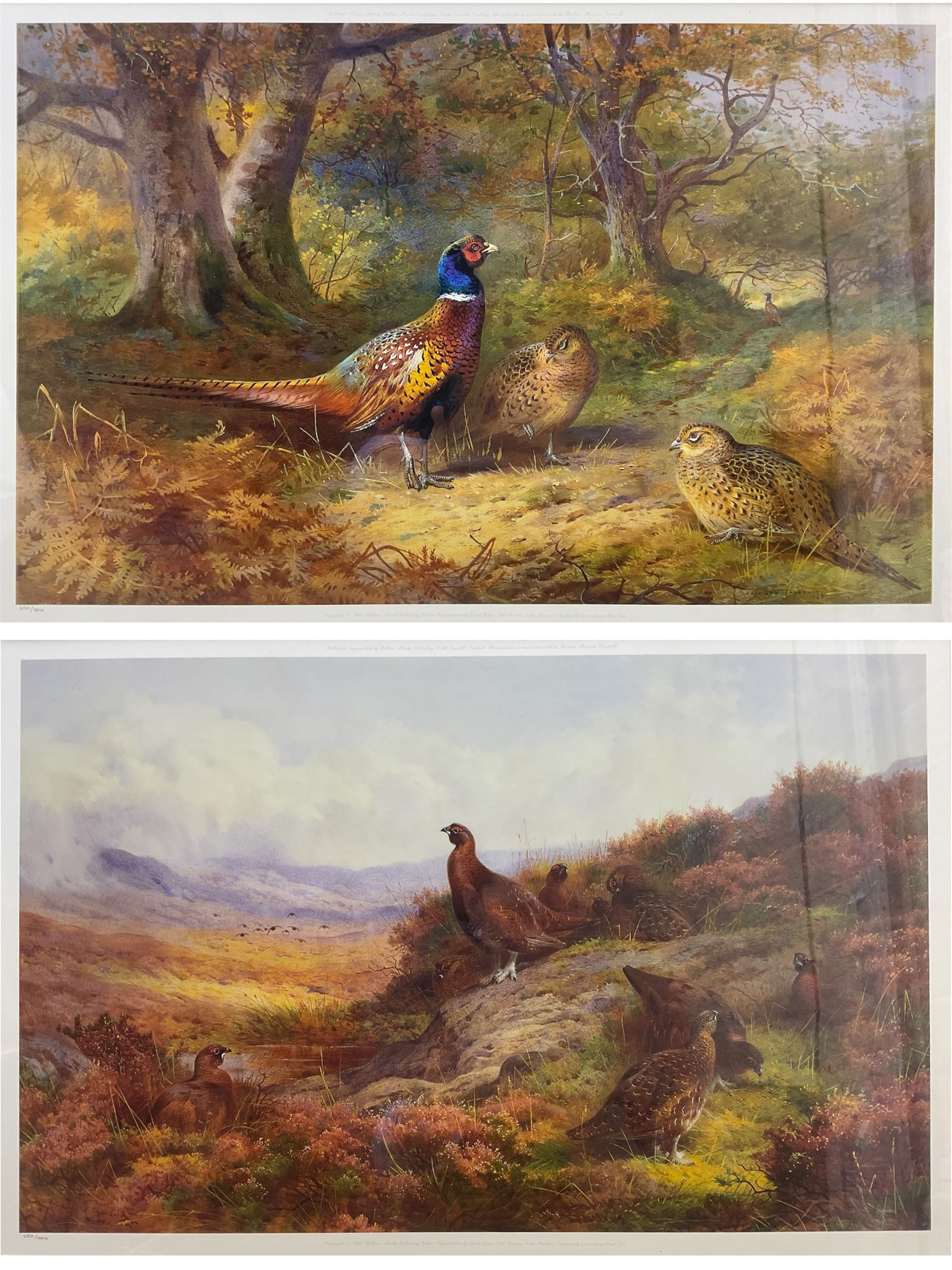 After Archibald Thorburn (British 1860-1935): Pheasants and Red Grouse, pair contemporary limited edition prints 31cm x 49cm (2)