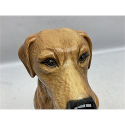 Large Beswick fire side figure of a yellow labrador, modelled seated, no. 2314, with impressed marks beneath, H34cm