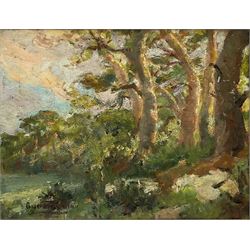 Gustave Caillou (French 1851-1936): Wooded Landscape, oil on panel indistinctly signed 26cm x 34cm