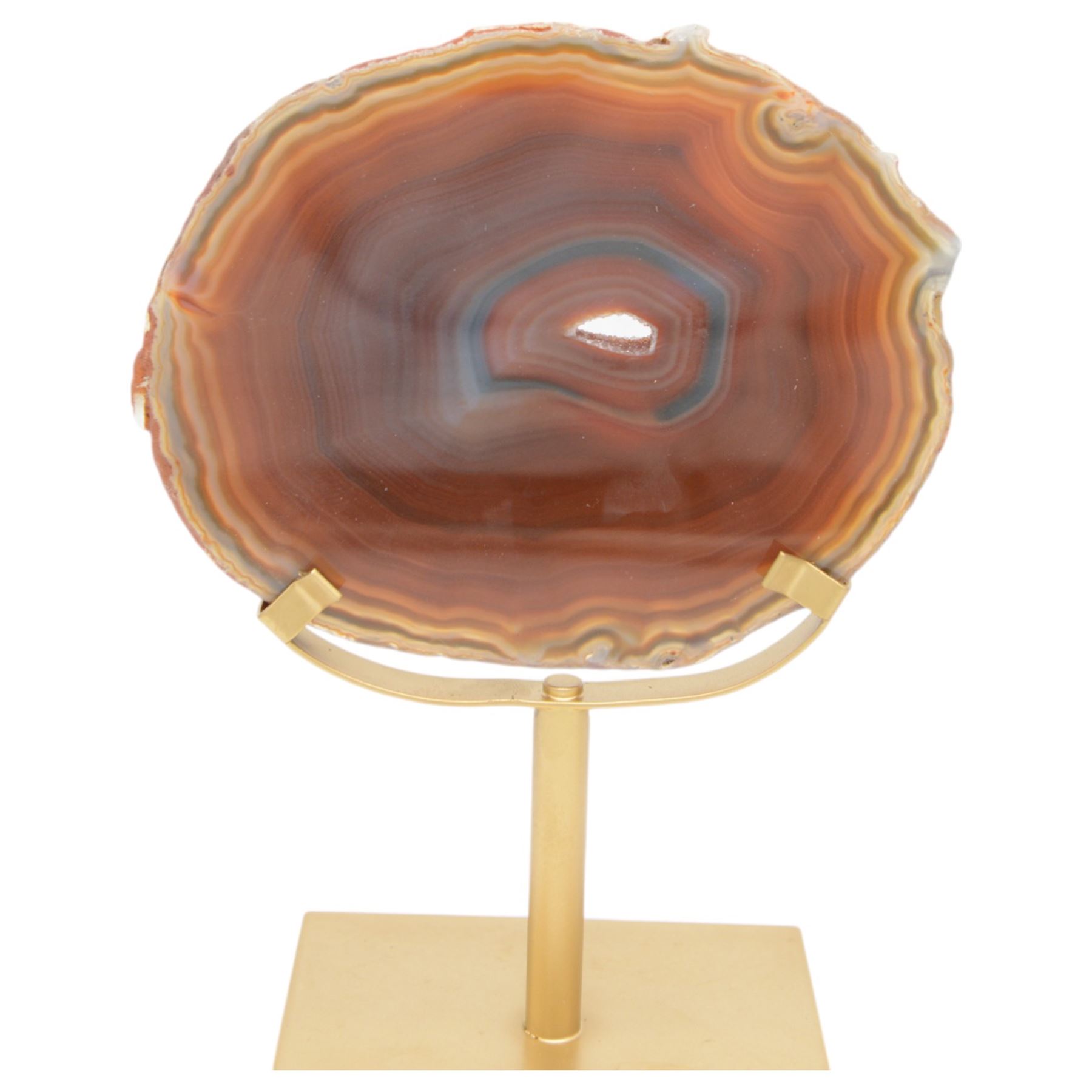 Pair of red agate slices, polished with rough edges raised upon gilt metal stands, H20cm
