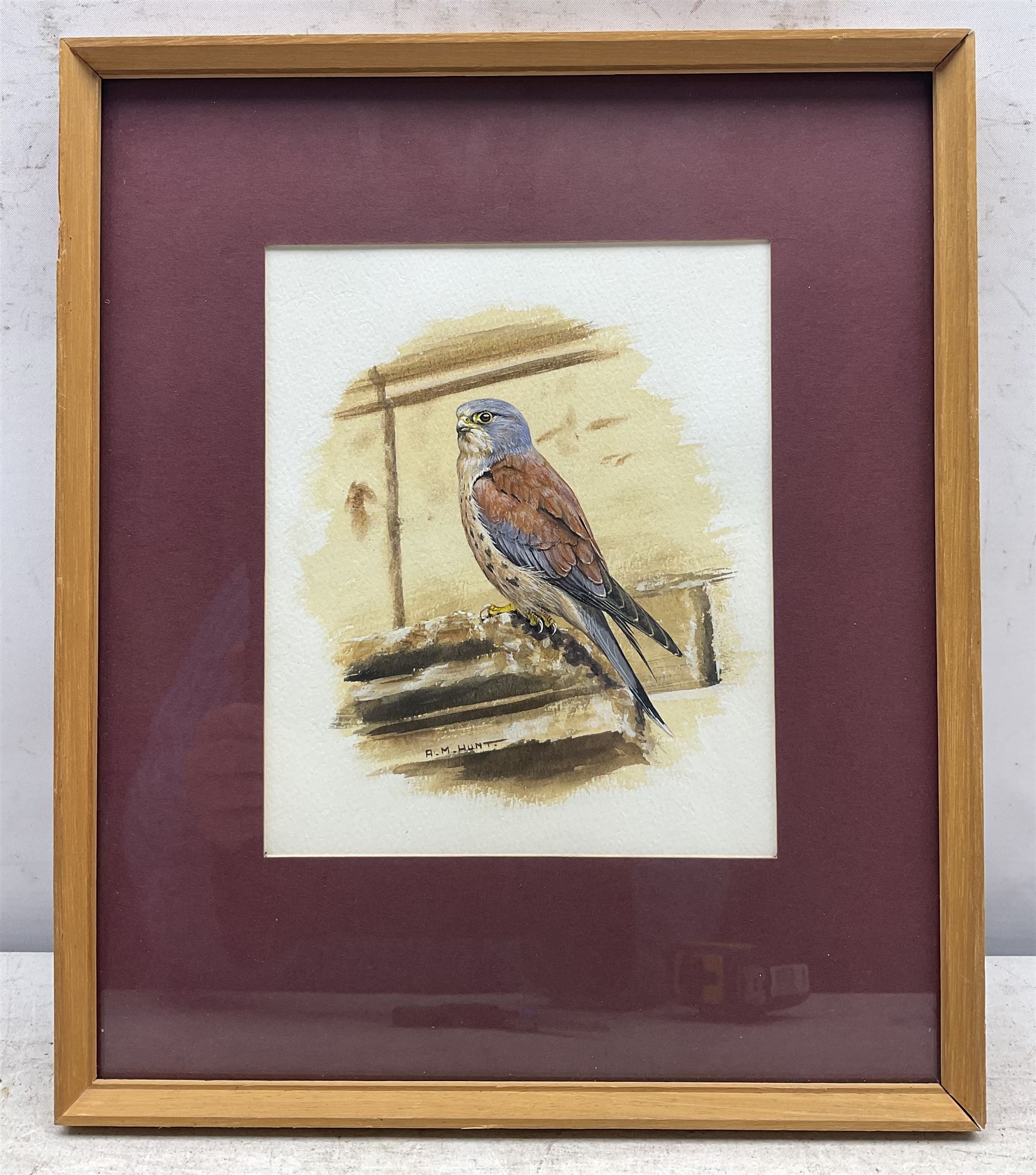 Alan M Hunt (British 1947-): Kestrel, gouache signed 18cm x 15cm 