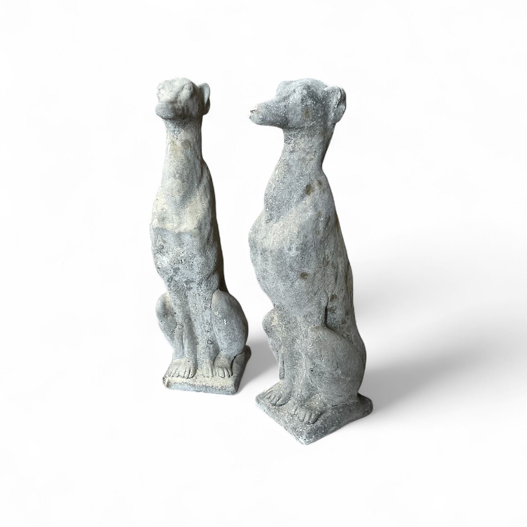 Pair of cast stone sitting greyhounds 