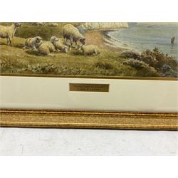 Harold Lawes (British 1865-1940): 'On the Coast of Devon', watercolour signed, titled on the mount 22cm x 51cm