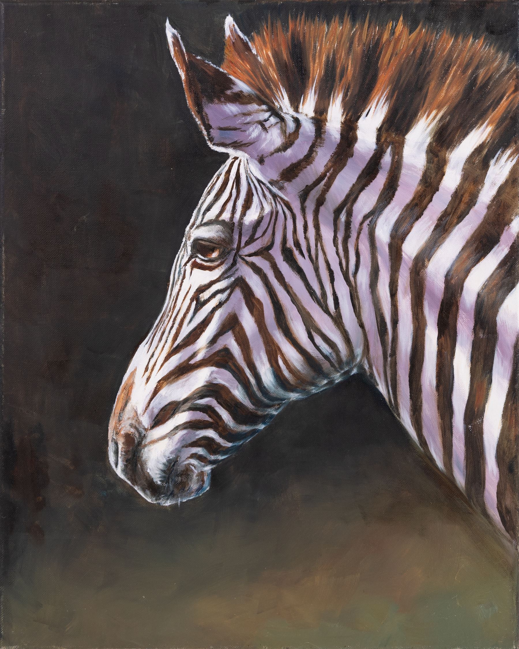 Continental School (Contemporary): Rhinos Elephants and a Zebra, set of three portraits unsigned, max 60cm x 76cm (two unframed)