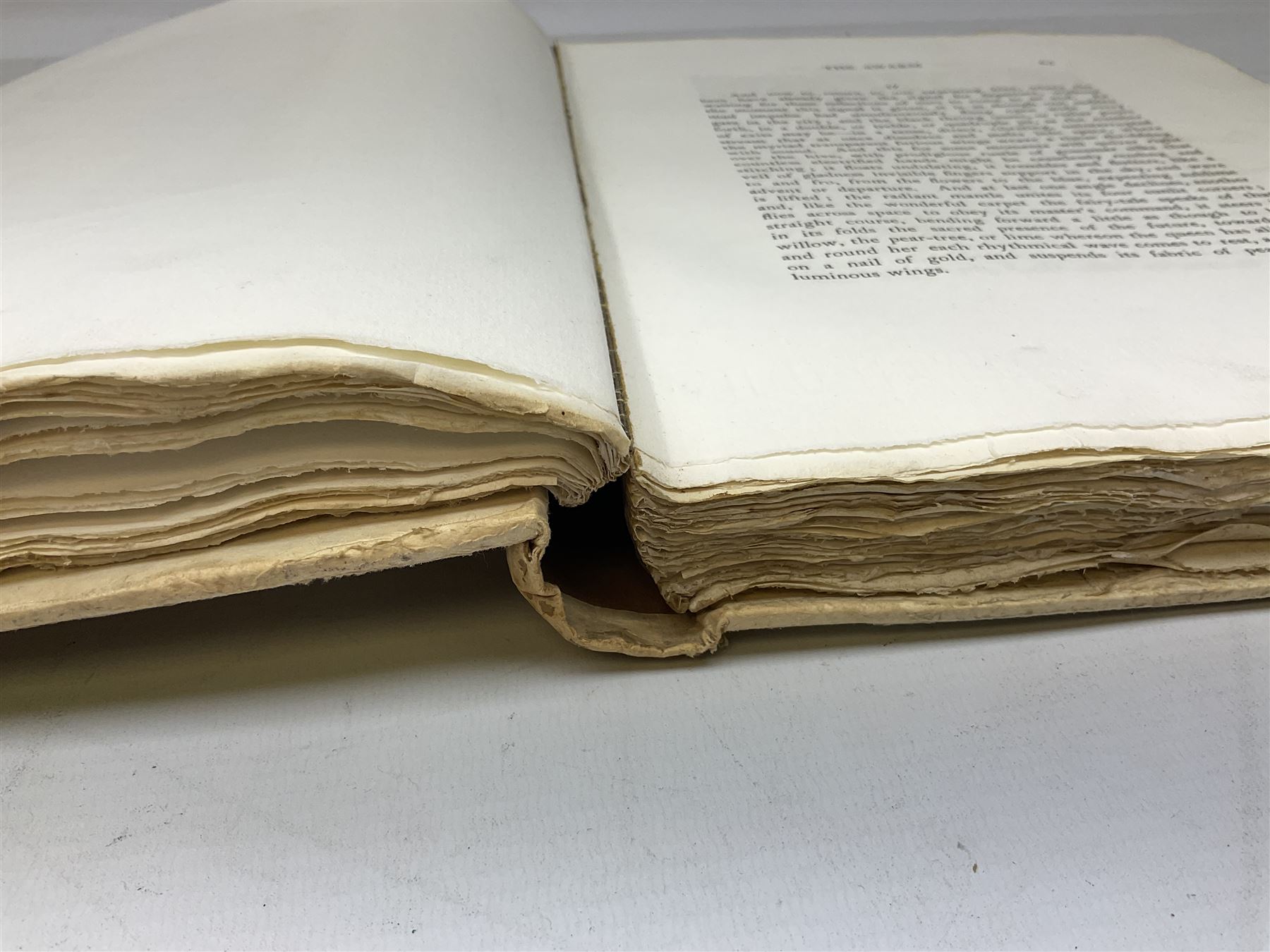 Maurice Maeterlinck: 'The Life of the Bee', illustrated E.J. Detmold, 13 mounted coloured plates, pub. Geo. Allen & Co. Ltd. London, 1911,