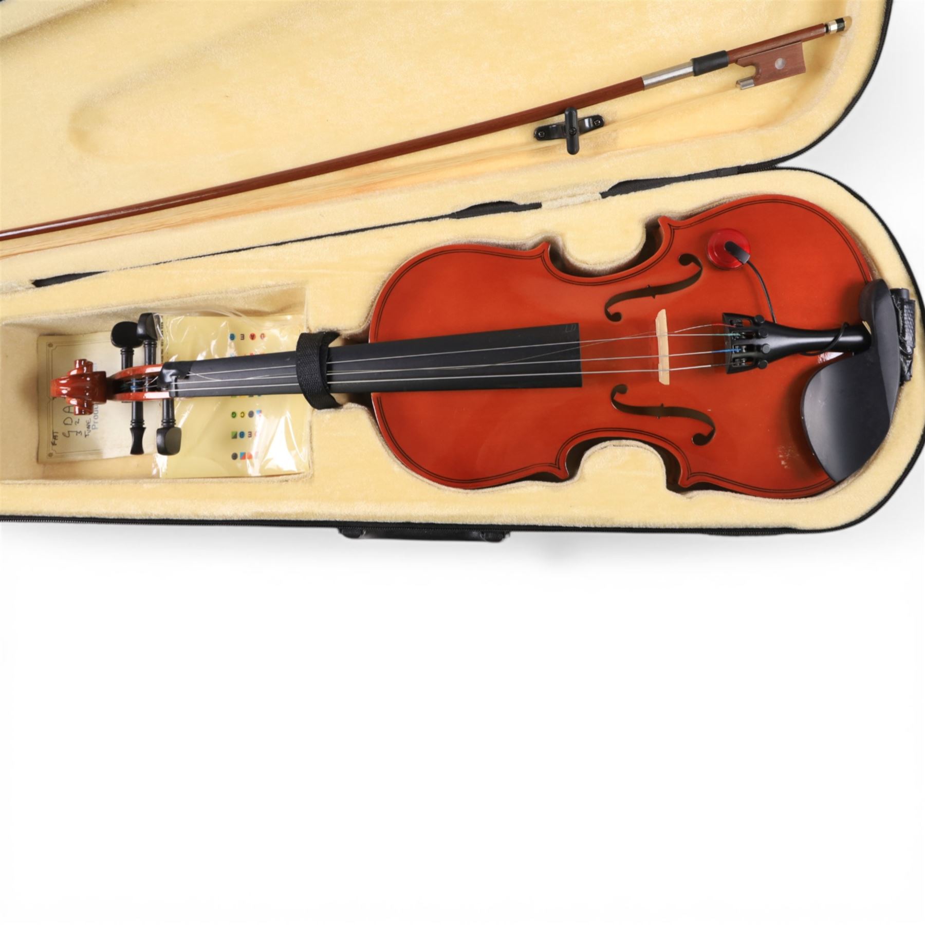 Rayzm mandolin and a student violin, both cased