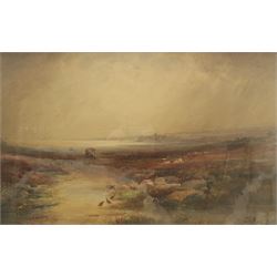 Frederick William Booty (British 1840-1924): Scarborough from Hay Brow, watercolour signed 49cm x 79cm