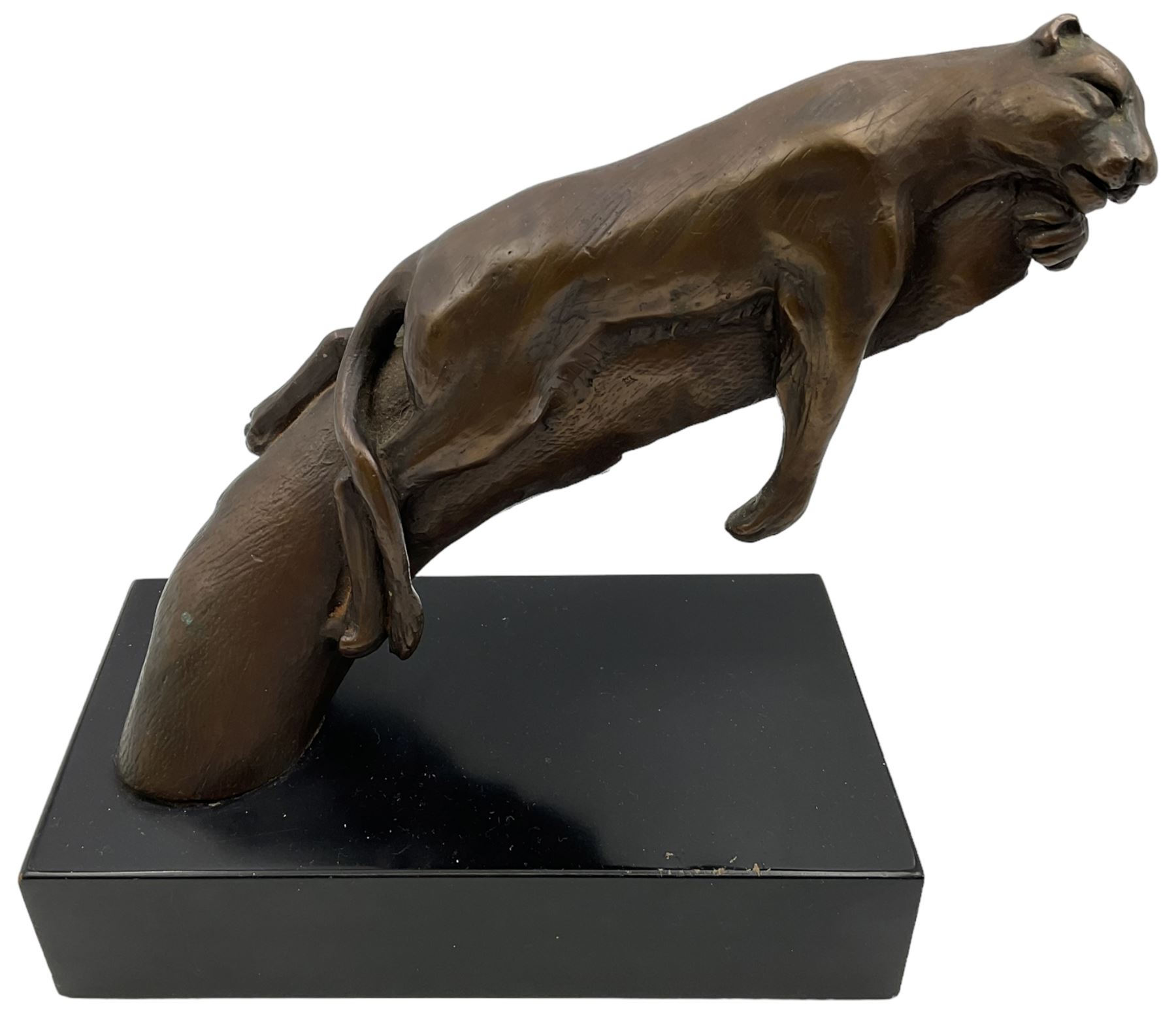 Bronze modelled as a cougar on a branch upon a rectangular wooden plinth, H24cm