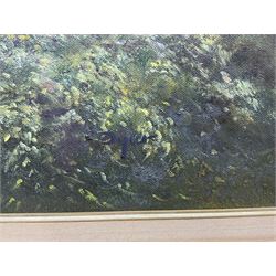 Edward 'Ted' Dyer (British 1940-): Children in the Garden, oil on canvas signed 40cm x 50cm