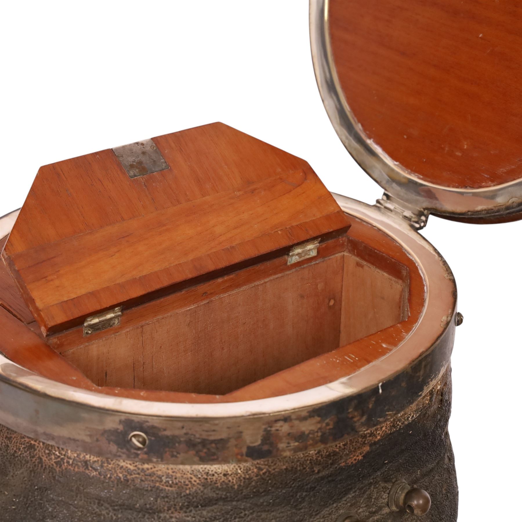 Taxidermy: 19th century elephant foot cigar case, the hinged wooden lid opening to reveal two lidded compartments