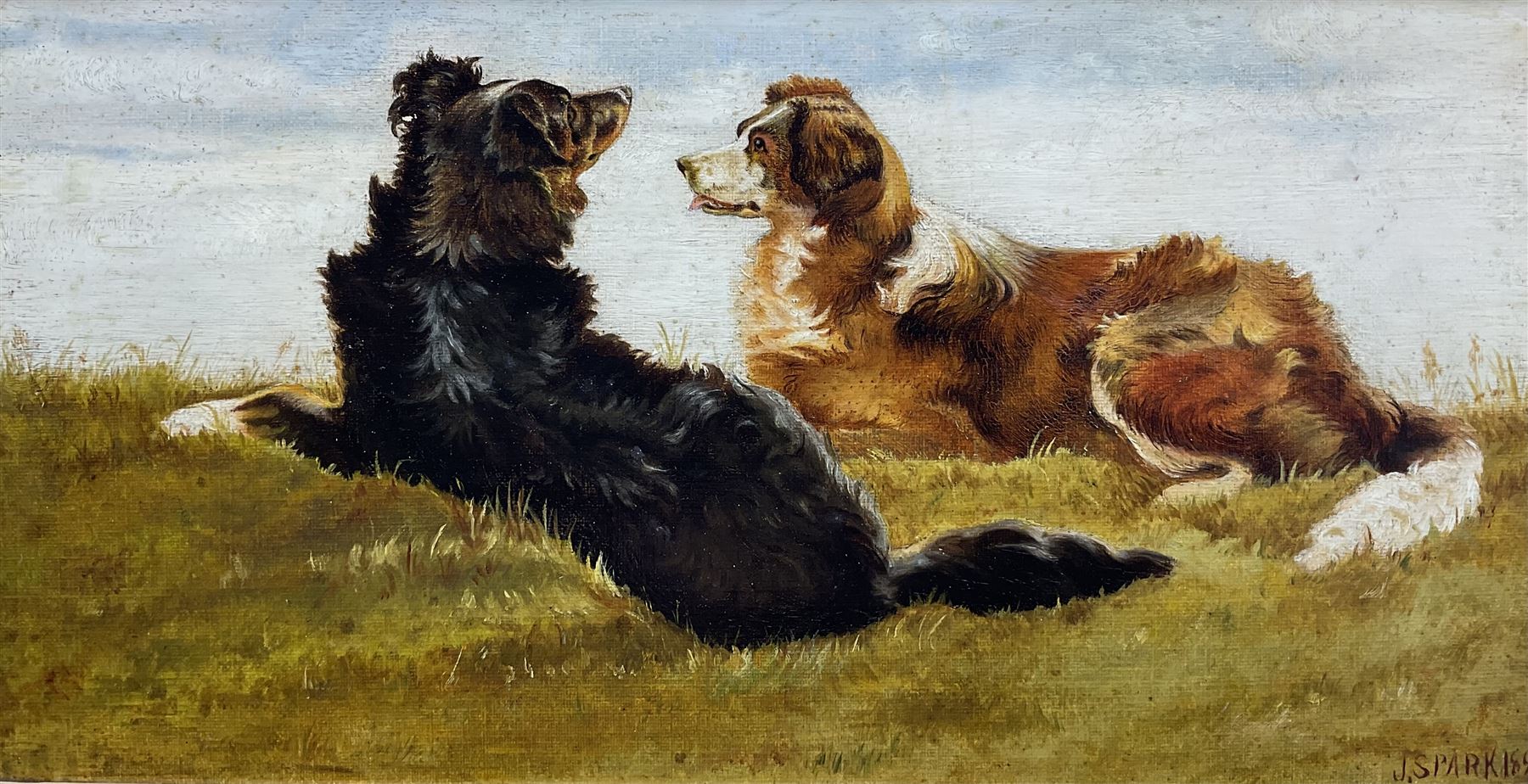 JS Park (British 19th Century): Border Collies, oil on board signed and dated 1895, 20cm x 39cm 