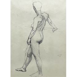 Anne Isabella Brooke (British 1916-2002): Female Nude Life Study, pen and ink dated 5th Feb. '94, 49cm x 36cm
Notes: painter and teacher born at South Crosland, Yorkshire principally known for her landscape oils. She attended Chelsea School of Art 1937-39, Huddersfield School of Art 1939-41 and London University. Lived in Harrogate