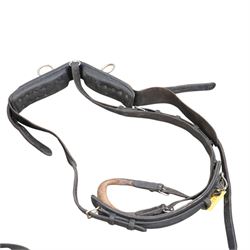 Team four in hand set of brown leather in hand exercise harness, including four collars, pads and bridles with leather blinkers and bits