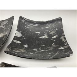 Set of four square dishes in two sizes, each with Orthoceras and Goniatite inclusions, age: Devonian period, location: Morocco, large dish D17cm