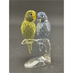 Five Swarovski Crystal bird figures, comprising pair of kingfishers, pair of coloured Budgerigar, pair of parakeets, pair of budgerigar and pair of blue tits 