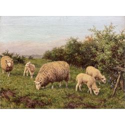 Joseph Dixon Clark (British 1849-1944): Sheep in a Meadow, oil on canvas signed 30cm x 40cm