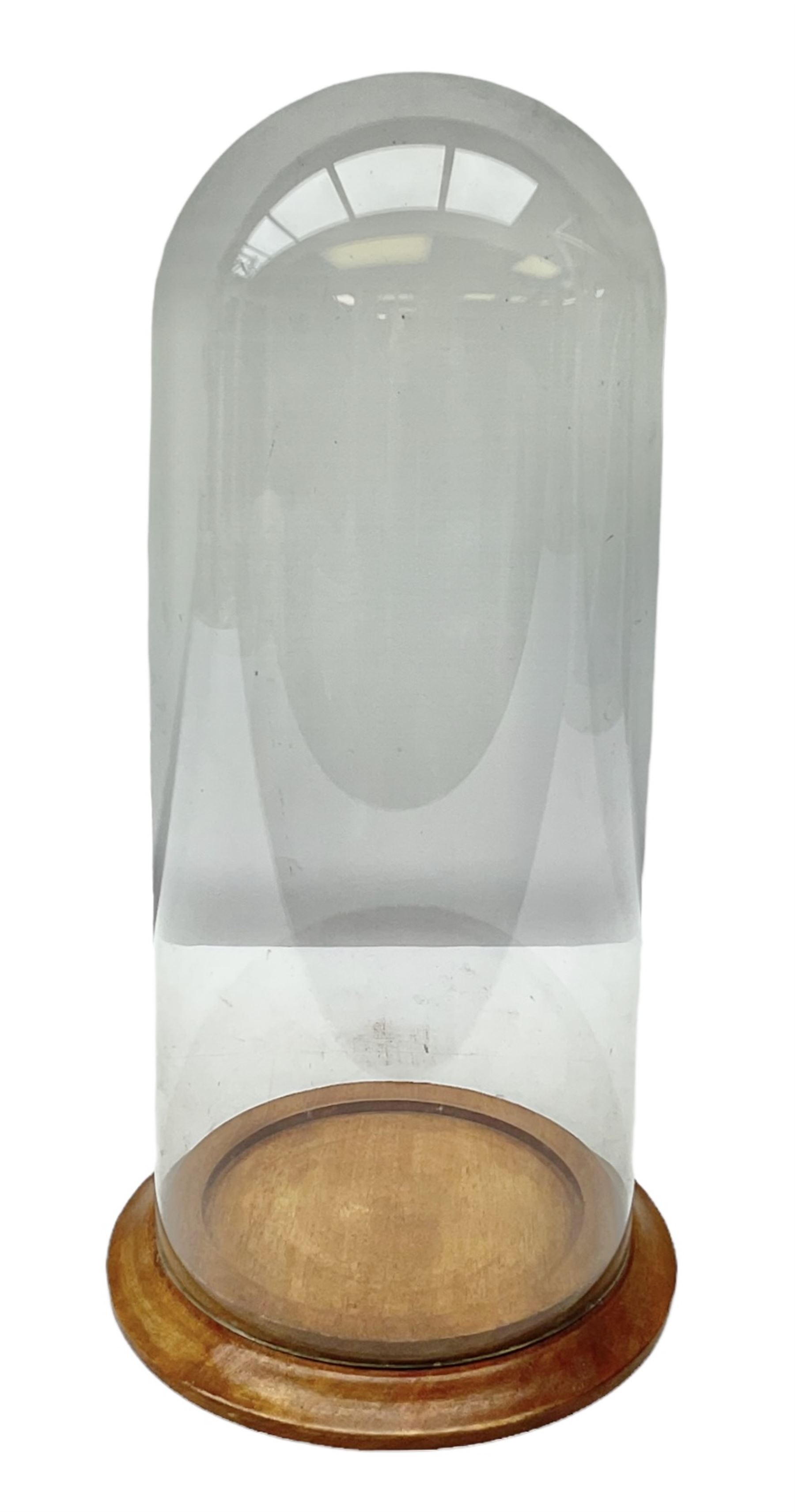 Glass dome display covers on a circular wooden base, H46cm