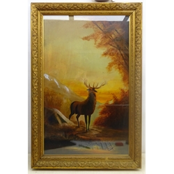 Stag in the Highlands, oil on canvas signed G Turner and dated 1915, 84cm x 52cm