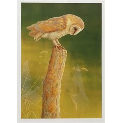 Robert E Fuller (British 1972-): Owl on a Tree Stump, limited edition colour print signed and numbered 9/850 in pencil 33cm x 24cm