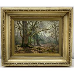 Frederick Golden Short (British 1863-1936): Sunlight in the Forest, oil on board signed and dated 1910, 22cm x 29cm