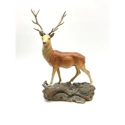 A Beswick Connoisseur matt model of a Stag upon a rocky modelled base, 2629
