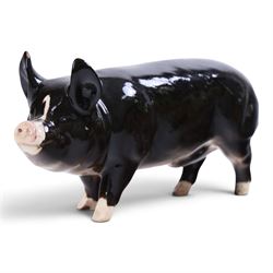 Two Beswick and three Royal Doulton pigs, including Ch Wall Champion pig, Vietnamese Pot Bellied pig, Gloucester Old Spot etc  