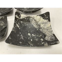 Set of six square dishes in two sizes, each with orthoceras and goniatite inclusions, age: Devonian period, location: Morocco, large dish D16cm