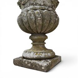 Pair of quality antique weathered three-piece composite stone garden urns, the flared rim moulded with repeating acanthus leaves, over a deep-relief campana body decorated with fruiting grapevines and ivy leaves, the gadrooned underbelly over a turned socle and square base