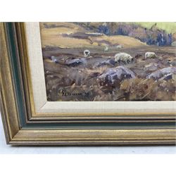 Barry Arthur Peckham (British 1945-): Sheep Grazing on Sleights Moor, oil on board signed and dated '74, 29cm x 50cm
