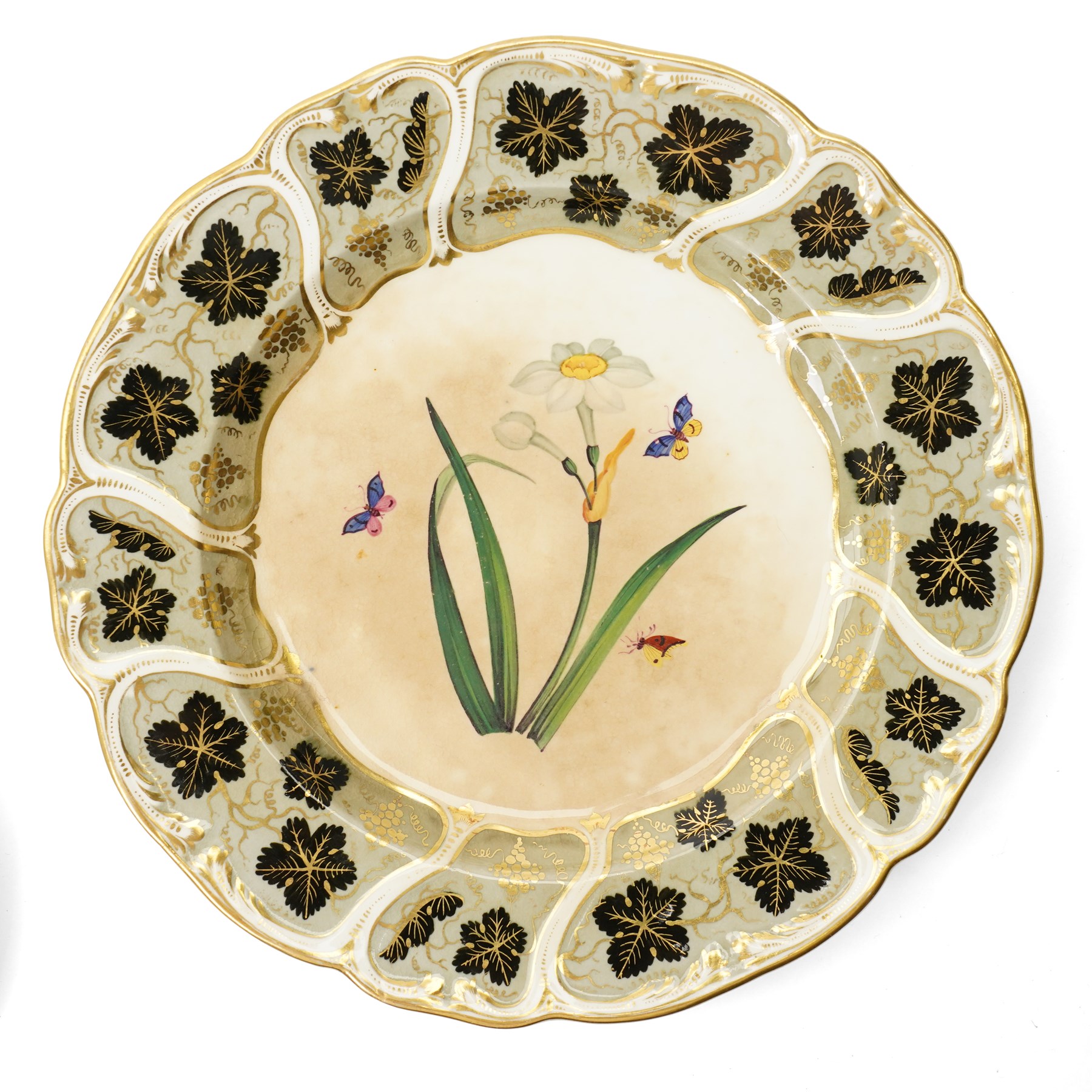 Set of fourteen mid 19th century Derby dessert plates, each painted with a named botanical subject and butterflies within a leaf pattern and gilt border