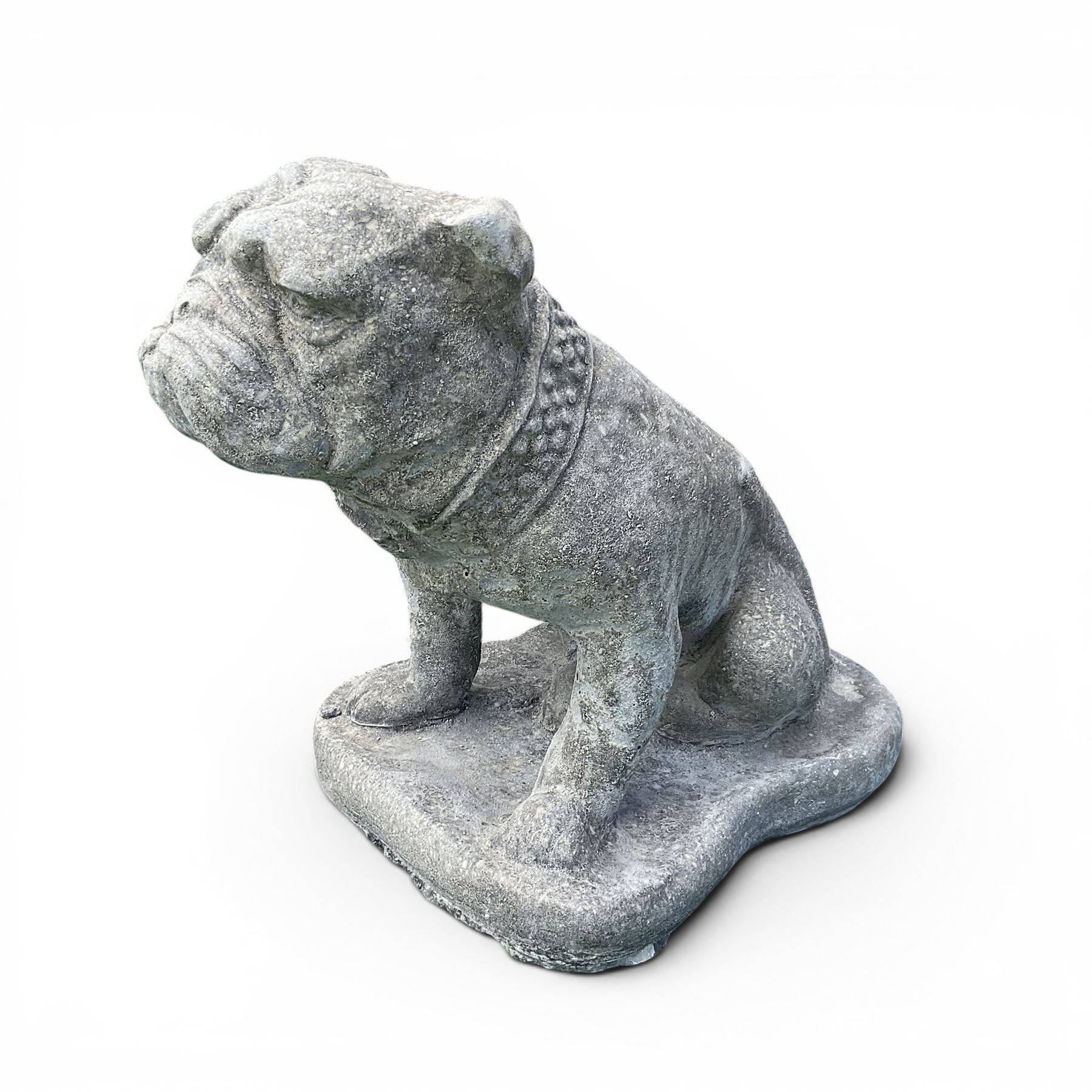 Pair of cast stone garden bulldogs with studded collars