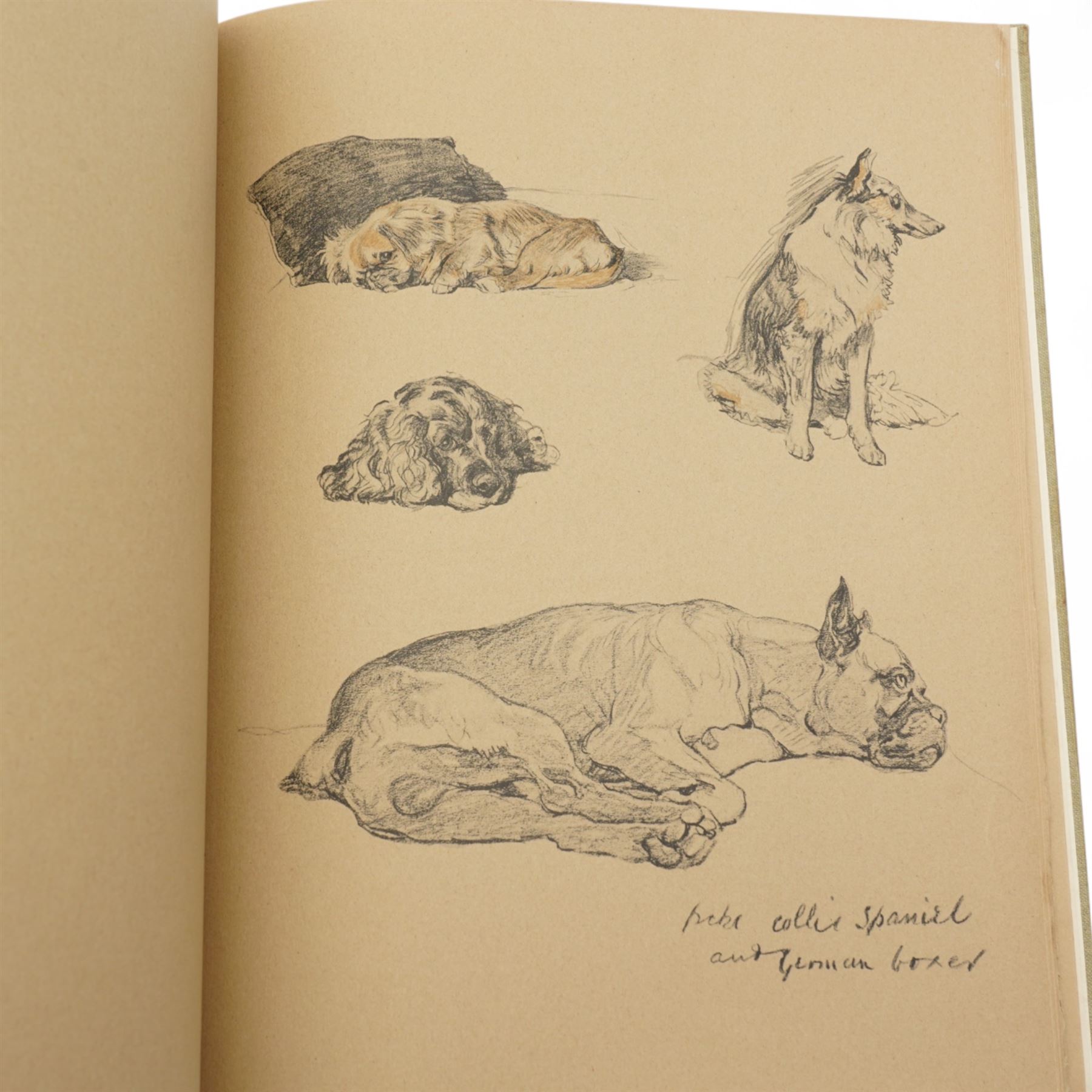Two Cecil Aldin books - 'Dogs of Character' pub. 1927 and 'Just Among Friends' pub. 1935 (2)