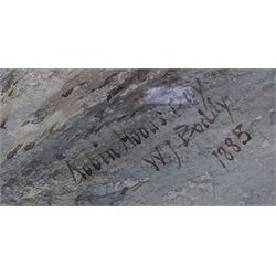 William James Boddy (British 1832-1911): 'Robin Hoods Bay', watercolour signed titled and dated 1885, 47cm x 33cm