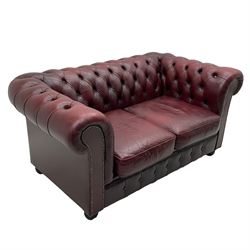 Two seat Chesterfield sofa, upholstered in buttoned oxblood leather with loose seat cushions, on bun feet
