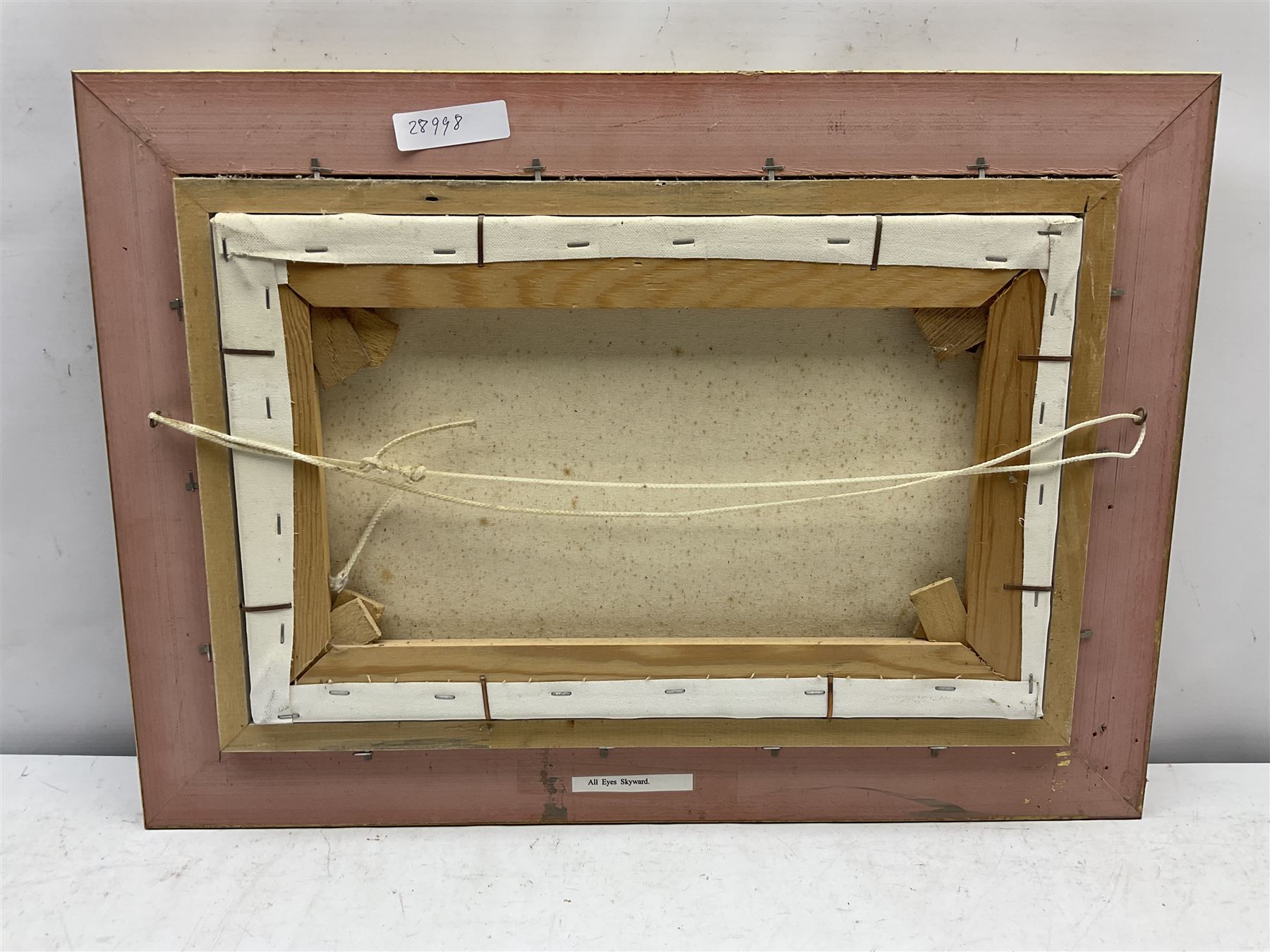 Neil Spilman (British 1951-): 'All Eyes Skyward', oil on canvas signed and dated '99, titled verso 24cm x 40cm
