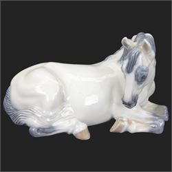 Two Royal Copenhagen figures modelled as Lippizaner horses, the first example in a recumbent pose no 5690, the second example prancing upon a stepped circular base, H19cm 