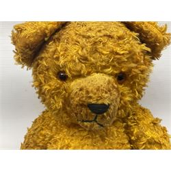 1950's English curly plush teddy bear with applied eyes, horizontally stitched nose and mouth and jointed limbs with growler mechanism H63cm