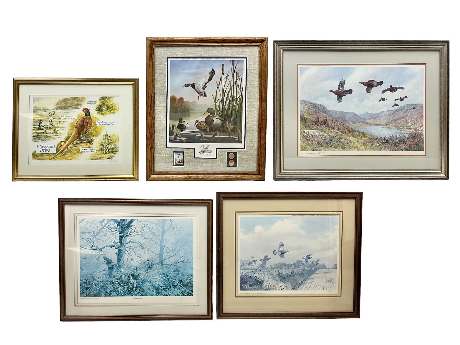 Five limited edition framed coloured prints of shooting interest comprising after C. Stanley Todd game birds taking flight in a mountainous lake landscape no.348/600; after J.C. Harrison game birds in flight over fields no.285/500; after Alan B. Hayman  'A Right and Left?' no.398/850; after Andy Beck 'Pheasant Drive' no.56/350; and after Leo Stans 'Autumn Air'; all signed on the mount; various frames (5)
