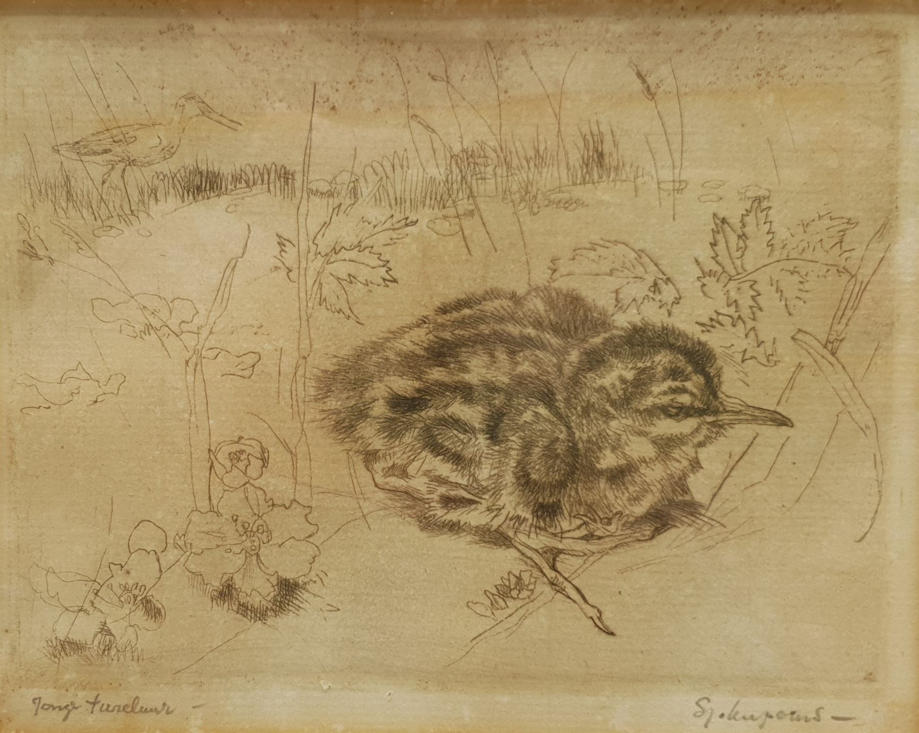 Sjoerd Kuperus (Dutch 1893-1988): Bird Studies, pair etchings signed and titled in pencil 10cm x 12cm and 11cm x 13cm (2)