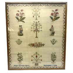 Victorian sampler worked by Mary Evans born December 1836, depicting urns of flowers, fruiting trees, two figures, bird and other floral motifs, within a strawberry vine border, framed and glazed, overall H78.5cm L69cm
