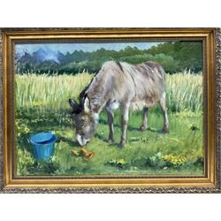 Iris Collett (British 1938-): Donkey Grazing, oil on board signed 40cm x 57cm
Provenance: from the second and final part of the artist's studio sale collection