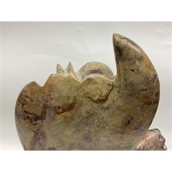 Goniatite sculpture, displaying two Goniatites within a polished and shaped matrix, age; Devonian period, H56cm