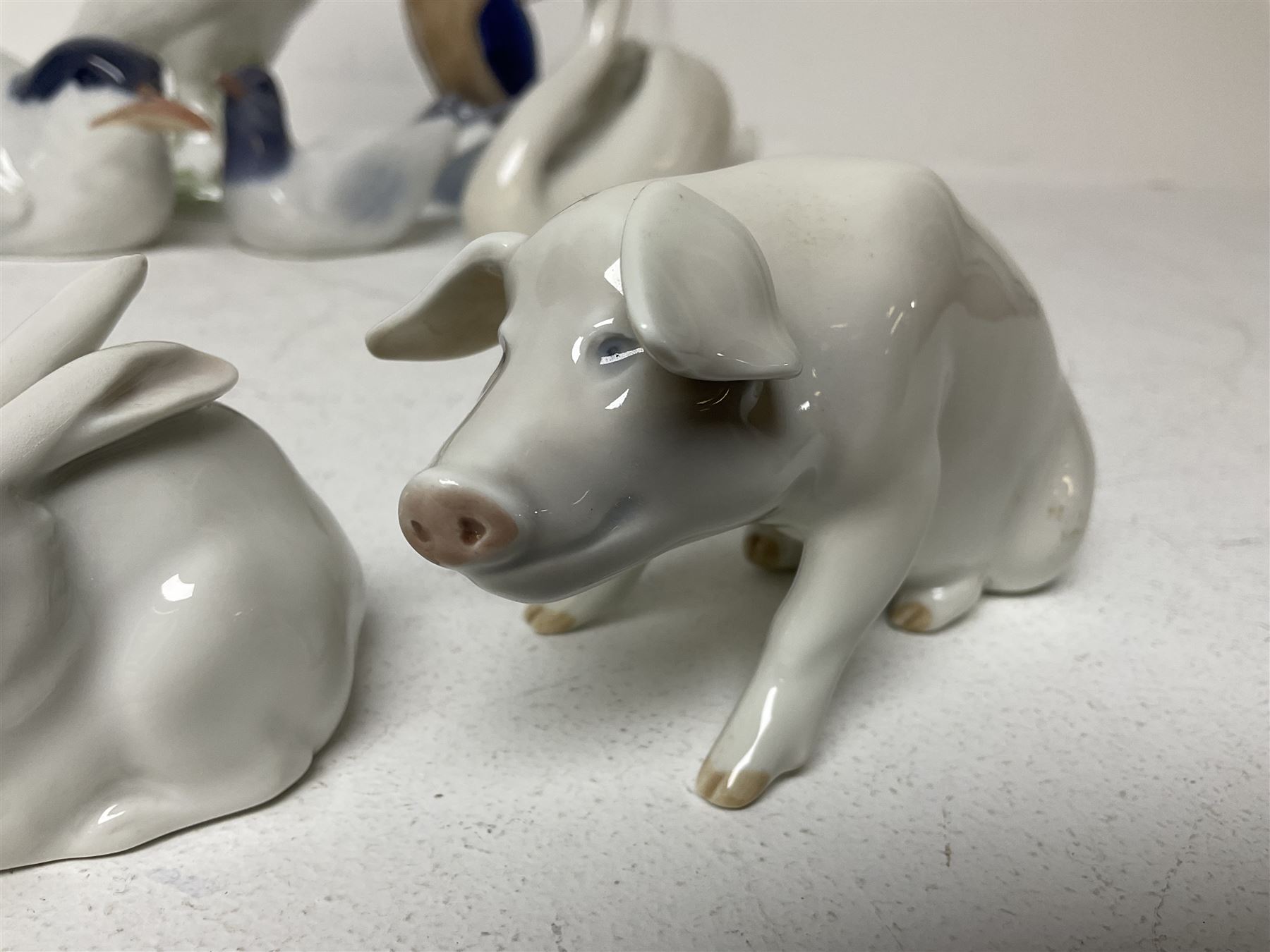 Seven Royal Copenhagen figures, including Arctic tern no 827, Swan no 755, Kingfisher no 2257 etc, together with Royal Copenhagen dish